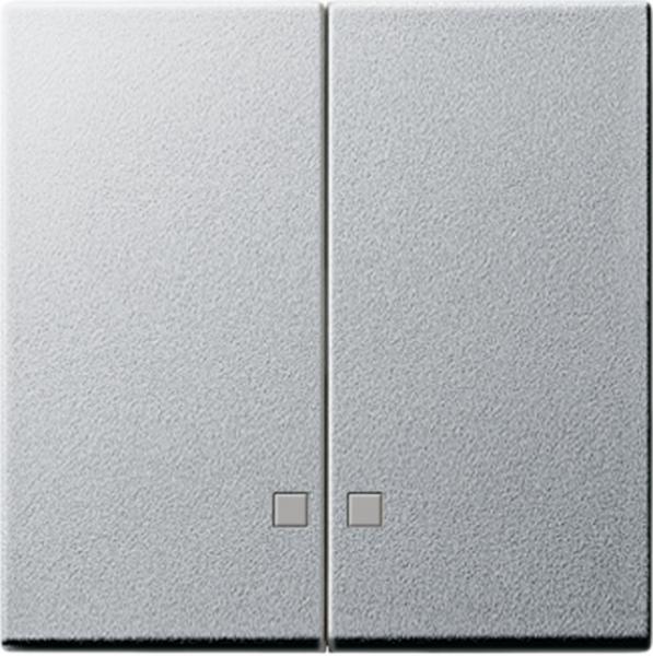 Gira System 55 Serien Kontroll Wippe Farbe Alu 063126