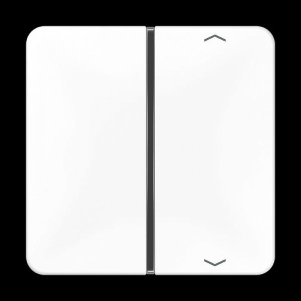 Jung Taste 1fach, mit Pfeilsymbolen, F40, Serie CD, alpinweiß CD401TSAPWW