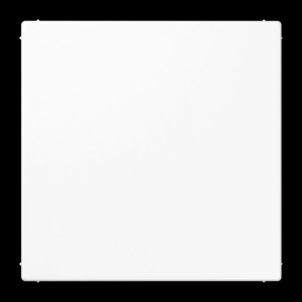 Jung Blind-Abdeckung (gerastet) Zentralplatte, Thermoplast, Serie LS, alpinweiß LS994BWWPL
