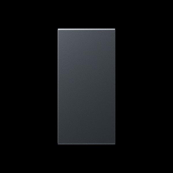 Jung Abdeckung in Tastenfarbe, F50, Serie AS/A, anthrazit matt A50NAANM