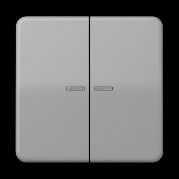 Jung KNX RF Taster 2fach, Duroplast, Serie CD, grau CD10921STRFGR