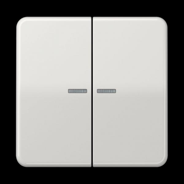 Jung KNX RF Taster 2fach, Duroplast, Serie CD, lichtgrau CD10921STRFLG