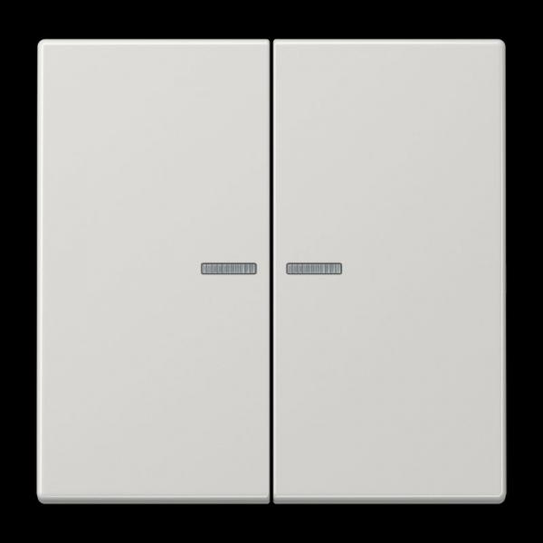 Jung KNX RF Taster 2fach, Duroplast, Serie LS, lichtgrau LS10921STRFLG