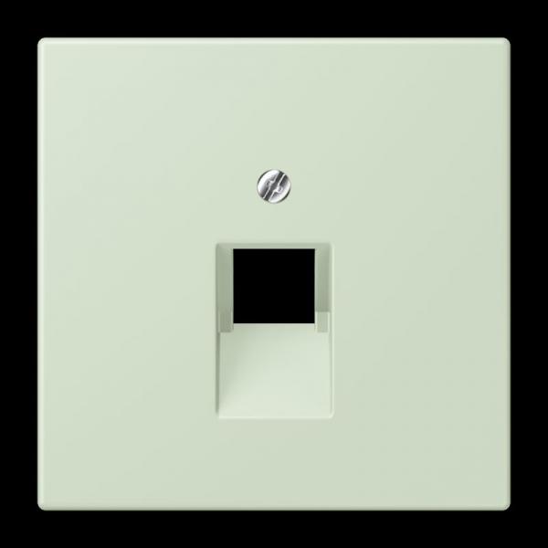 Jung Abdeckung für IAE/UAE-Anschlussdosen 1 x 8-polig, Thermoplast lackiert, Serie LS, vert anglâis pale LC969-1UA218