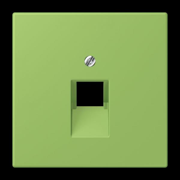 Jung Abdeckung für IAE/UAE-Anschlussdosen 1 x 8-polig, Thermoplast lackiert, Serie LS, vert 31 LC969-1UA220