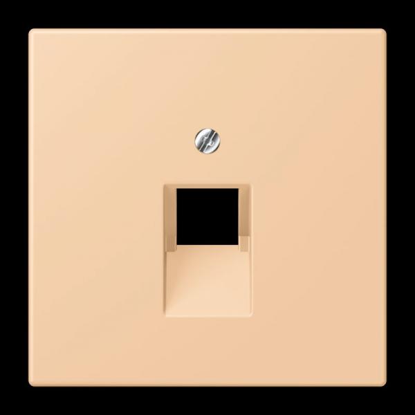 Jung Abdeckung für IAE/UAE-Anschlussdosen 1 x 8-polig, Thermoplast lackiert, Serie LS, terre sienne claire 31 LC969-1UA237