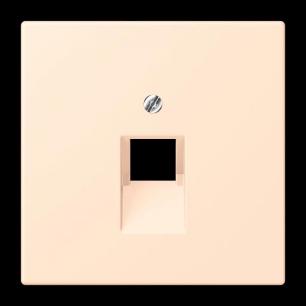 Jung Abdeckung für IAE/UAE-Anschlussdosen 1 x 8-polig, Thermoplast lackiert, Serie LS, terre sienne pâle LC969-1UA238