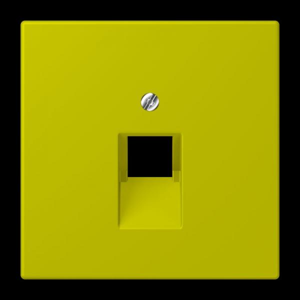 Jung Abdeckung für IAE/UAE-Anschlussdosen 1 x 8-polig, Thermoplast lackiert, Serie LS, vert olive vif LC969-1UA249