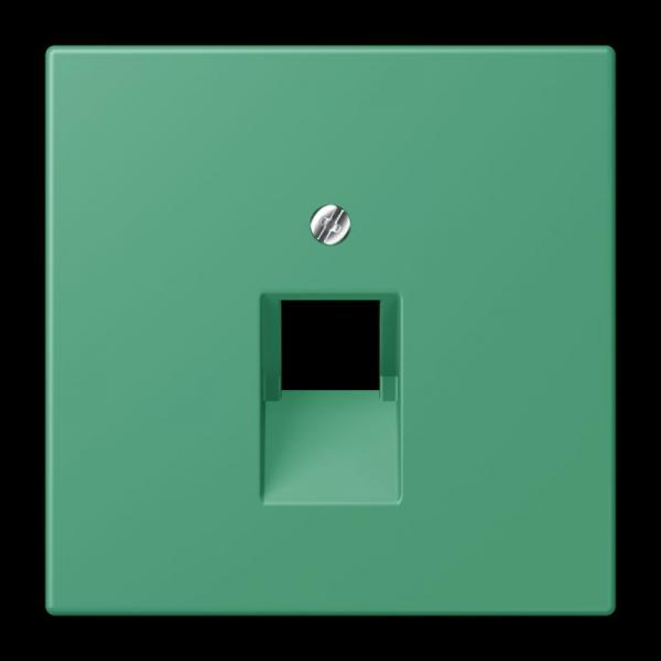 Jung Abdeckung für IAE/UAE-Anschlussdosen 1 x 8-polig, Thermoplast lackiert, Serie LS, vert 59 LC969-1UA250