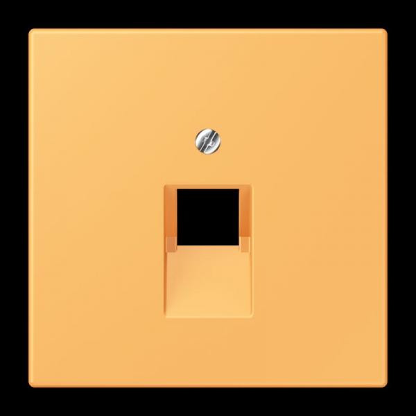 Jung Abdeckung für IAE/UAE-Anschlussdosen 1 x 8-polig, Thermoplast lackiert, Serie LS, ocre jaune clair LC969-1UA254