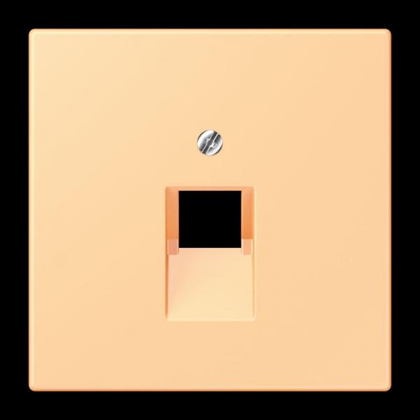 Jung Abdeckung für IAE/UAE-Anschlussdosen 1 x 8-polig, Thermoplast lackiert, Serie LS, terre sienne claire 59 LC969-1UA258