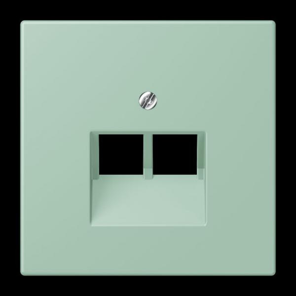 Jung Abdeckung für IAE/UAE-Anschlussdosen 2 x 8-polig, Thermoplast lackiert, Serie LS, vert anglais clair LC969-2UA217