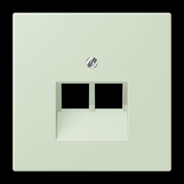 Jung Abdeckung für IAE/UAE-Anschlussdosen 2 x 8-polig, Thermoplast lackiert, Serie LS, vert anglâis pale LC969-2UA218