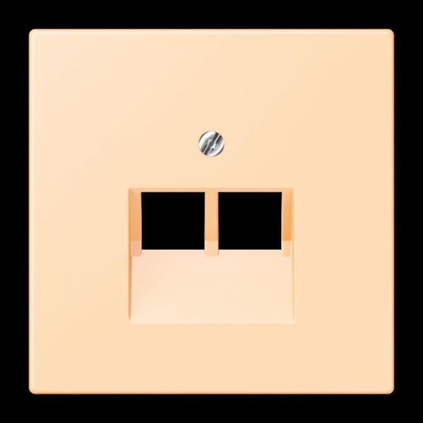 Jung Abdeckung für IAE/UAE-Anschlussdosen 2 x 8-polig, Thermoplast lackiert, Serie LS, ocre LC969-2UA223