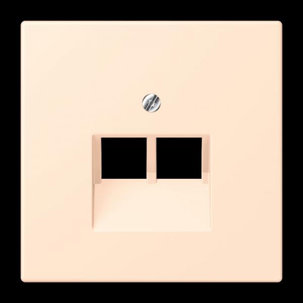 Jung Abdeckung für IAE/UAE-Anschlussdosen 2 x 8-polig, Thermoplast lackiert, Serie LS, terre sienne pâle LC969-2UA238