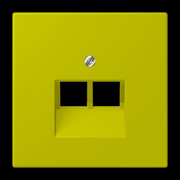 Jung Abdeckung für IAE/UAE-Anschlussdosen 2 x 8-polig, Thermoplast lackiert, Serie LS, vert olive vif LC969-2UA249