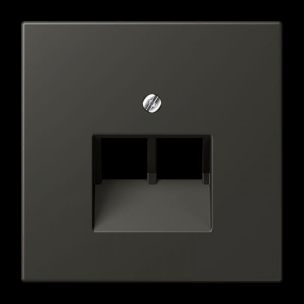 Jung Abdeckung für IAE/UAE-Anschlussdosen 2 x 8-polig, Thermoplast lackiert, Serie LS, ombre naturelle 59 LC969-2UA259