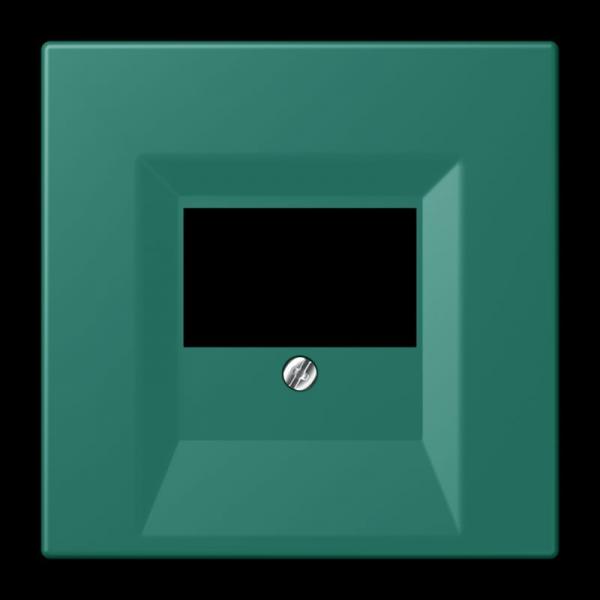 Jung Abdeckung für TAE-Anschlussdosen, Thermoplast lackiert, Serie LS, vert anglais LC969T216