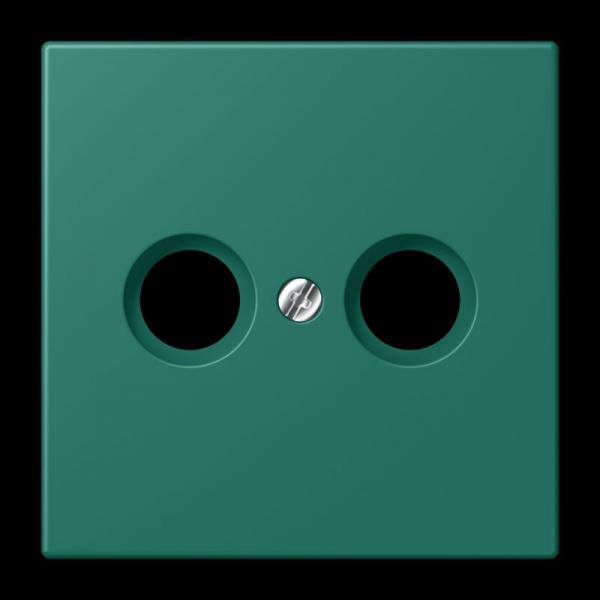 Jung Abdeckung für Antennendosen, Thermoplast lackiert, Serie LS, vert anglais LC990TV216