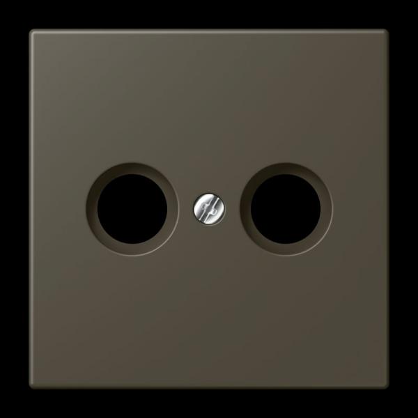 Jung Abdeckung für Antennendosen, Thermoplast lackiert, Serie LS, ombre naturelle 31 LC990TV241