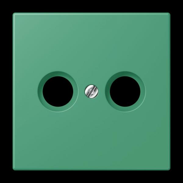 Jung Abdeckung für Antennendosen, Thermoplast lackiert, Serie LS, vert 59 LC990TV250