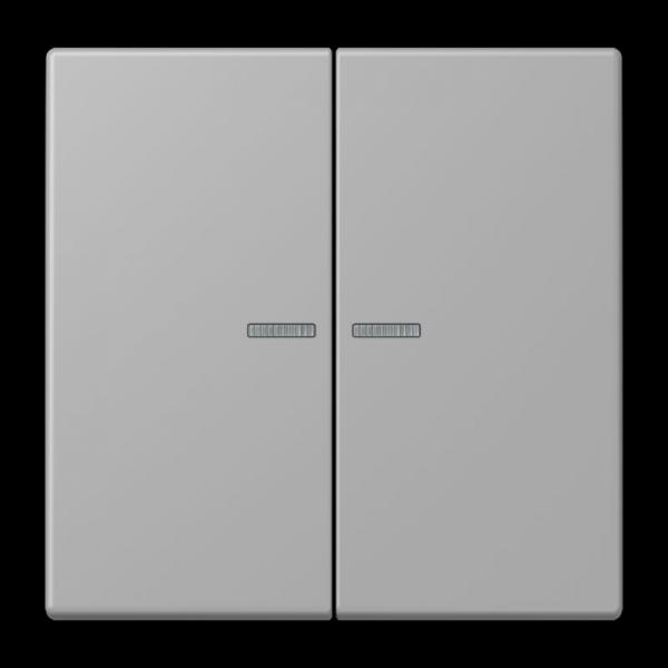 Jung JUNG HOME Taster 2fach, Serie LS, gris moyen BTLC17102204