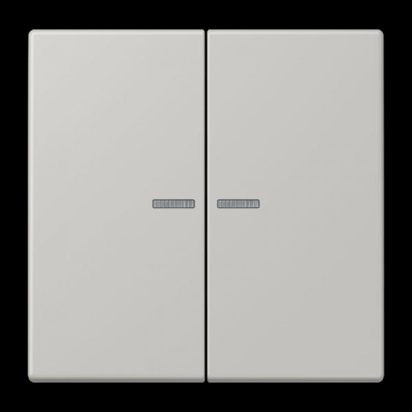 Jung JUNG HOME Taster 2fach, Serie LS, gris clair 31 BTLC17102205