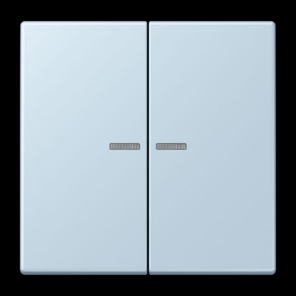 Jung JUNG HOME Taster 2fach, Serie LS, outremerclair BTLC17102208