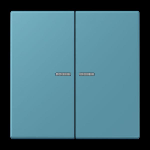 Jung JUNG HOME Taster 2fach, Serie LS, céruléen vif BTLC17102212