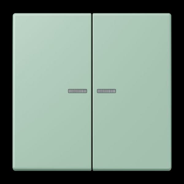 Jung JUNG HOME Taster 2fach, Serie LS, vert anglais clair BTLC17102217