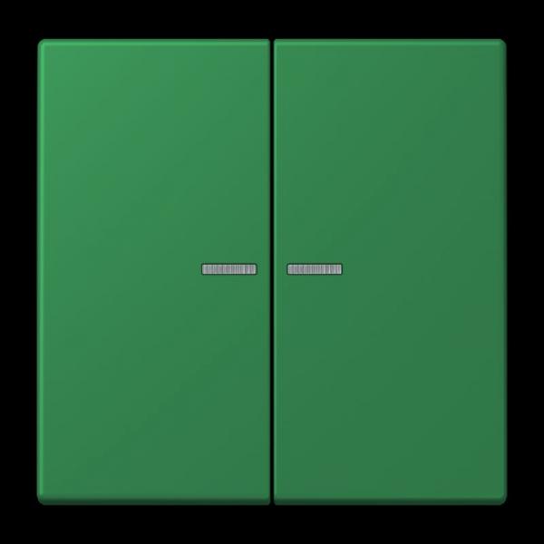 Jung JUNG HOME Taster 2fach, Serie LS, vert foncé BTLC17102219