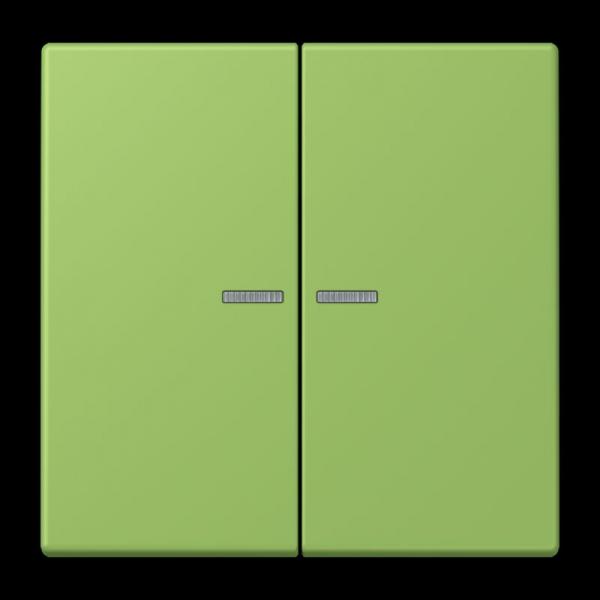 Jung JUNG HOME Taster 2fach, Serie LS, vert 31 BTLC17102220