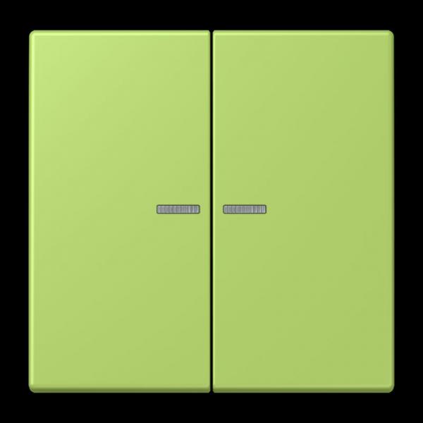 Jung JUNG HOME Taster 2fach, Serie LS, vert clair BTLC17102221