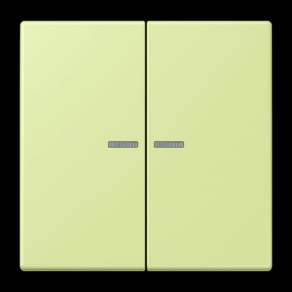Jung JUNG HOME Taster 2fach, Serie LS, vert jaune clair BTLC17102222