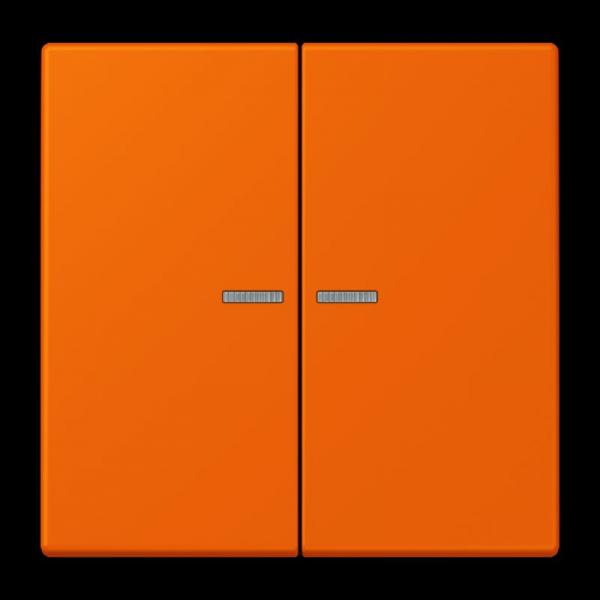 Jung JUNG HOME Taster 2fach, Serie LS, orange BTLC17102224