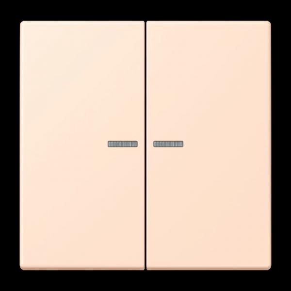 Jung JUNG HOME Taster 2fach, Serie LS, rose pâle BTLC17102228