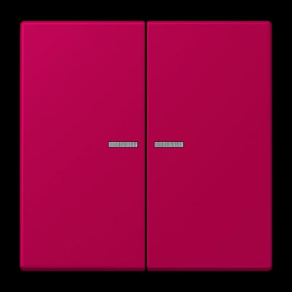 Jung JUNG HOME Taster 2fach, Serie LS, rouge rubia BTLC17102230