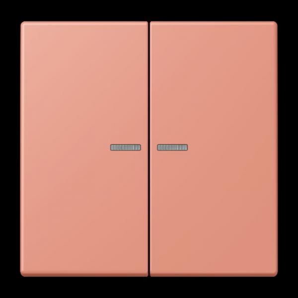 Jung JUNG HOME Taster 2fach, Serie LS, l'ocre rouge moyen BTLC17102233