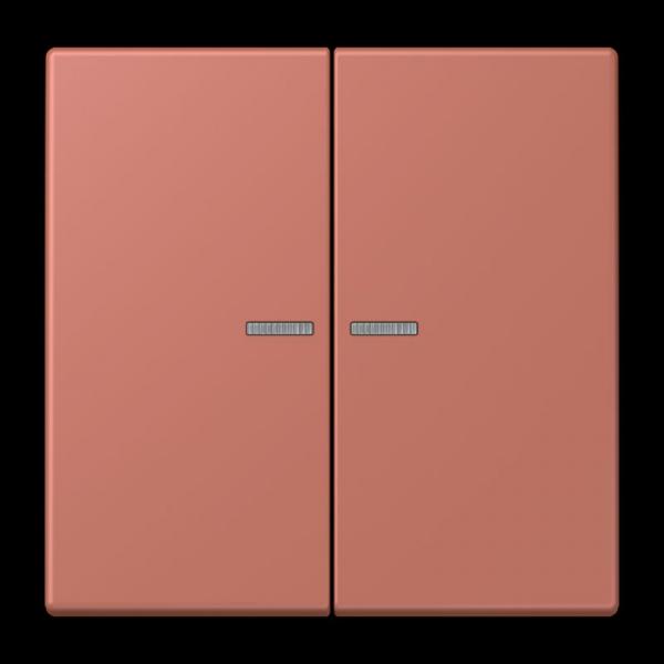 Jung JUNG HOME Taster 2fach, Serie LS, terre sienne brique BTLC17102236