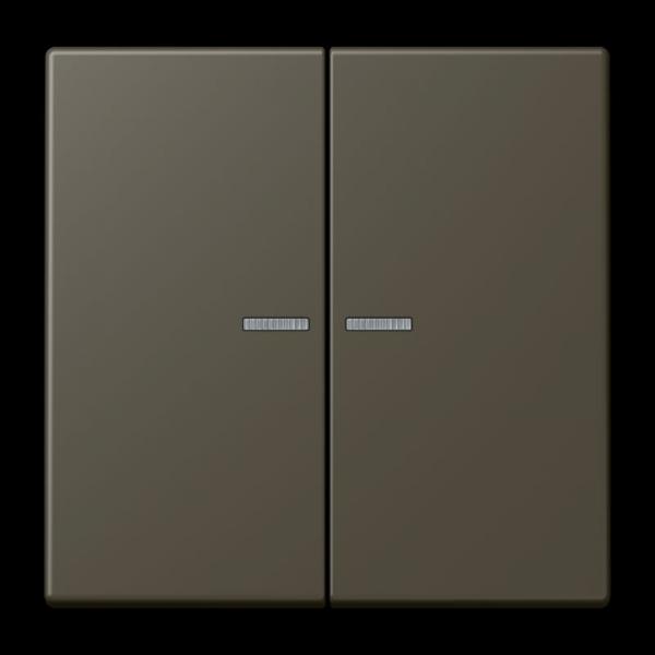 Jung JUNG HOME Taster 2fach, Serie LS, ombre naturelle 31 BTLC17102241