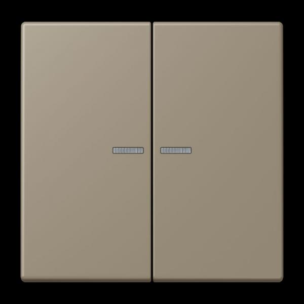 Jung JUNG HOME Taster 2fach, Serie LS, ombre naturelle moyenne BTLC17102242