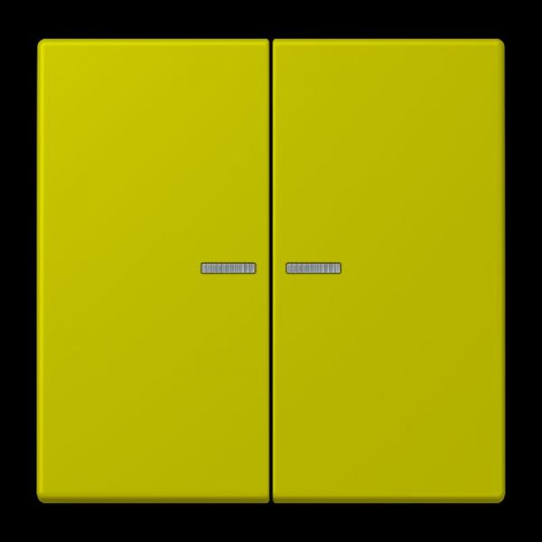 Jung JUNG HOME Taster 2fach, Serie LS, vert olive vif BTLC17102249