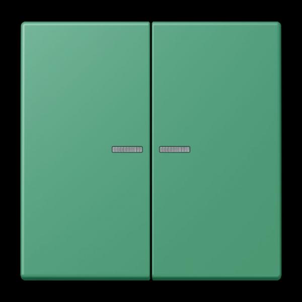 Jung JUNG HOME Taster 2fach, Serie LS, vert 59 BTLC17102250