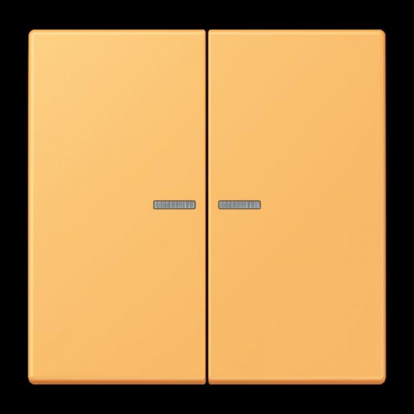 Jung JUNG HOME Taster 2fach, Serie LS, ocre jaune clair BTLC17102254