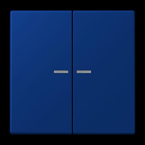 Jung JUNG HOME Taster 2fach, Serie LS, bleu outremer foncé BTLC17102261