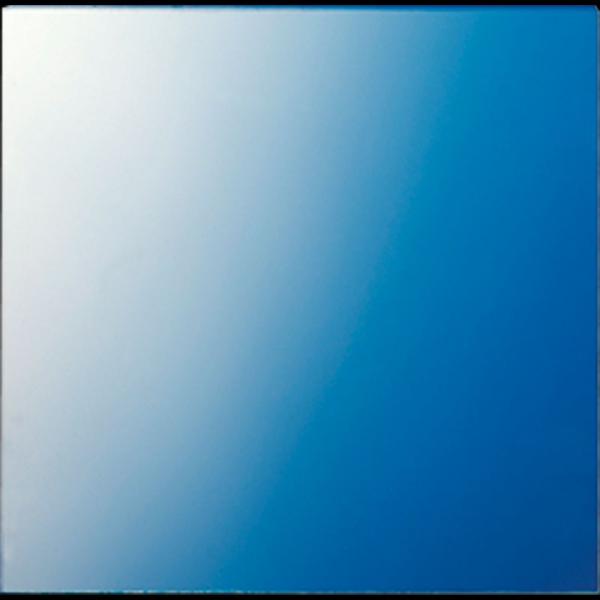 Jung Scheibe, Glas, WG 600 61GL