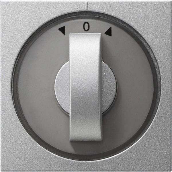 Gira System 55 Jalousie Drehgriff Knebel Farbe Alu 066626