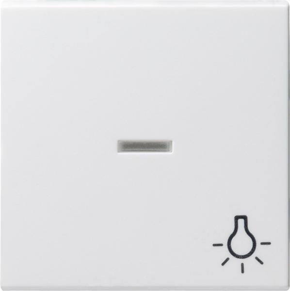 Gira System 55 Kontroll-Wippe Symbol Licht Reinwei§ gl_nzend 067403