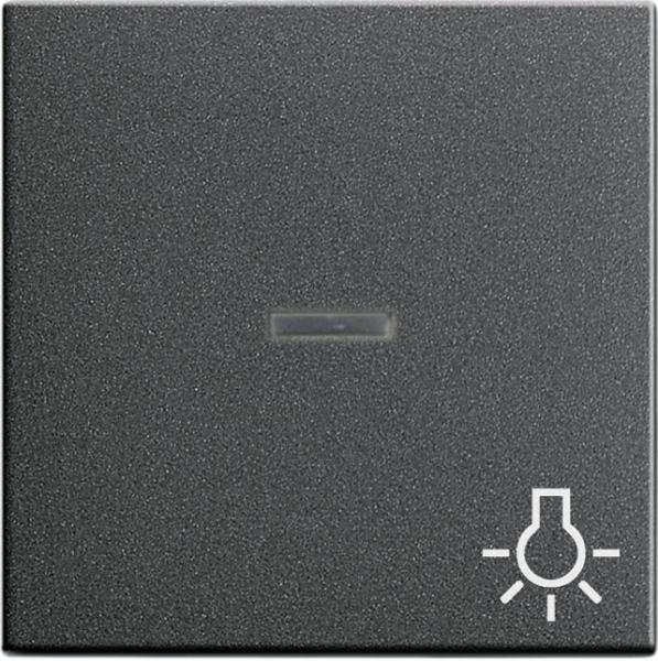 Gira System 55 Kontroll Wippe+Symbol Licht Anthrazit 067428