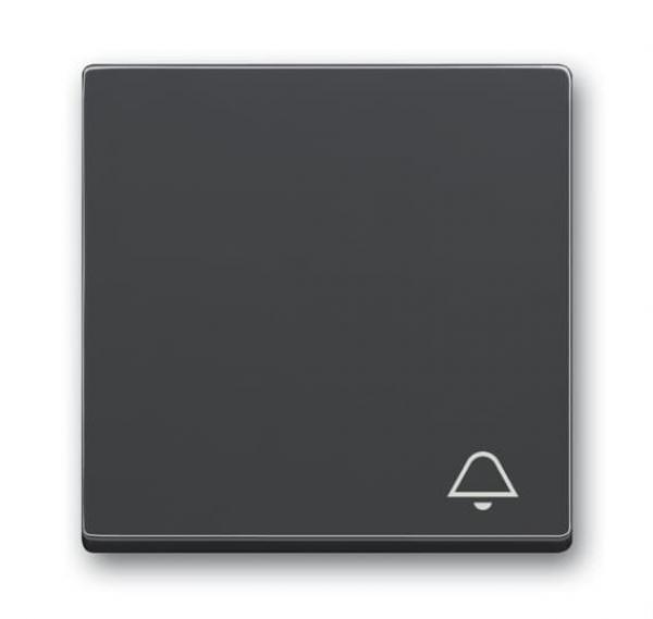 B+J Wippe mit Aufdruck, anthrazit, future linear, Abdeckungen für Schalter/Taster 2520 KI-81